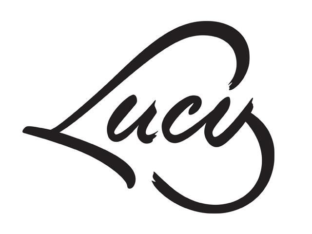 Лоджи Lucy Яремче-7