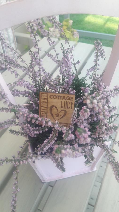 Лоджи Lucy Яремче-44