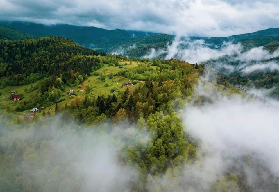 Лоджи Lucy Яремче-49