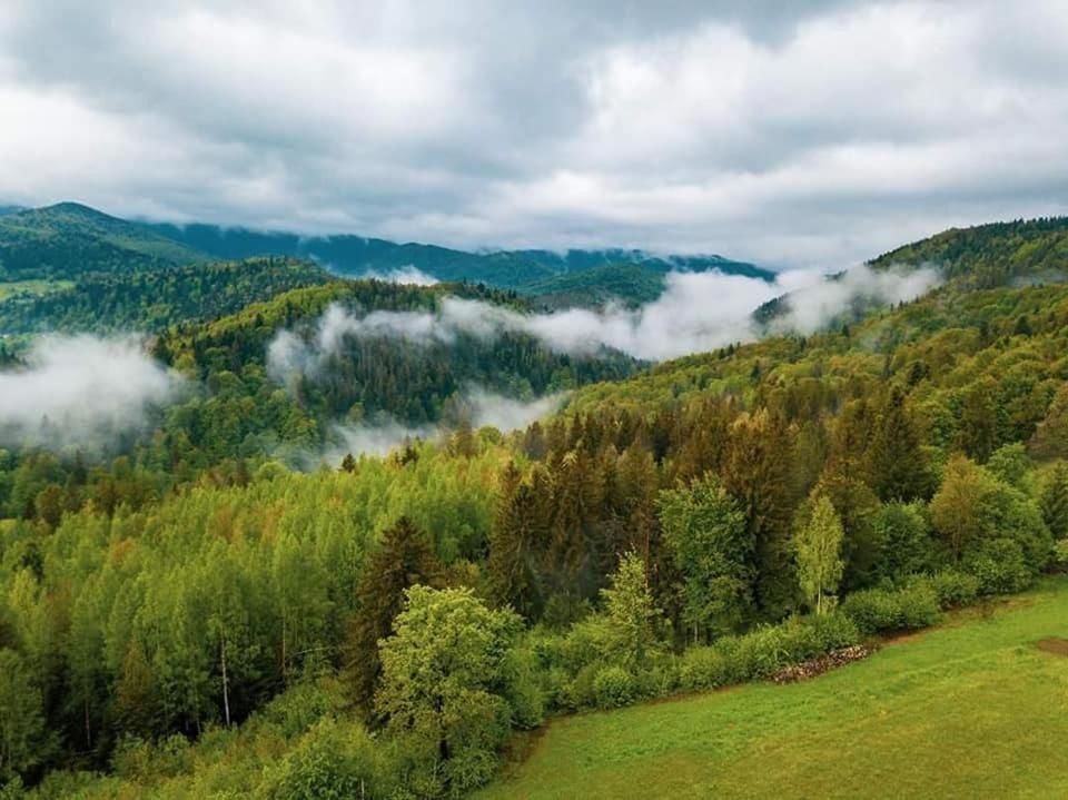 Лоджи Lucy Яремче-51