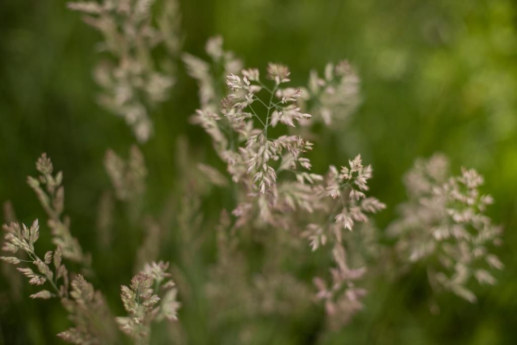 Лоджи Lucy Яремче-59