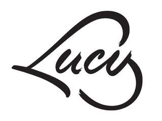 Лоджи Lucy Яремче-3