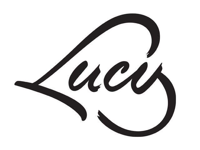 Лоджи Lucy Яремче-6