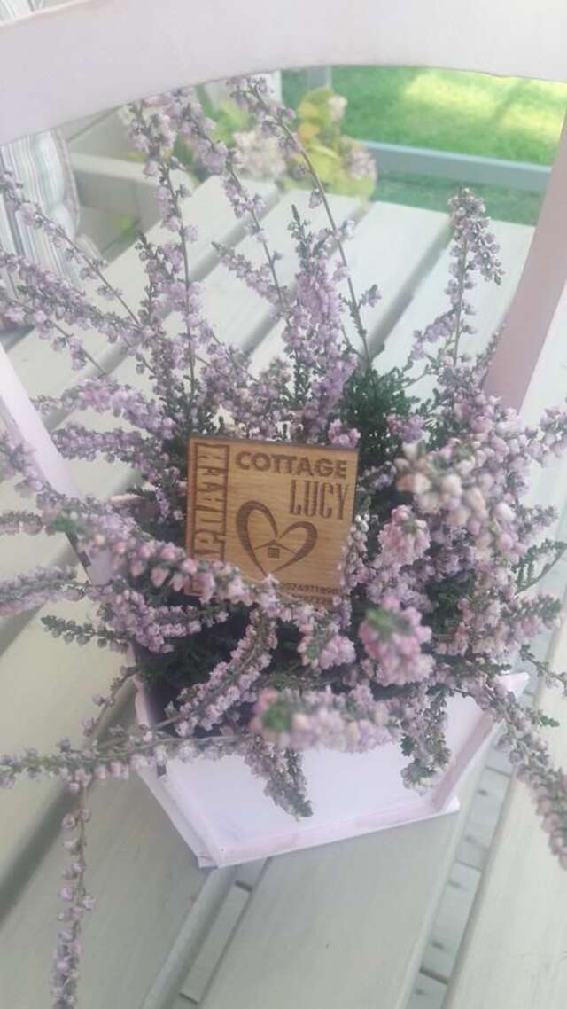 Лоджи Lucy Яремче-43