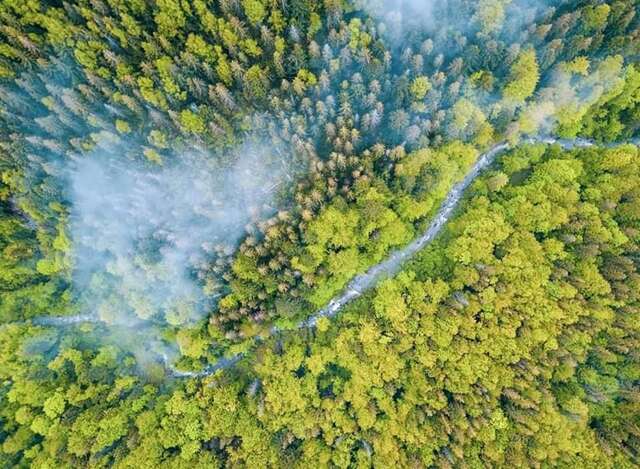 Лоджи Lucy Яремче-49